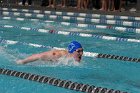 Swimming vs Babson  Wheaton College Swimming & Diving vs Babson College. - Photo By: KEITH NORDSTROM : Wheaton, Swimming